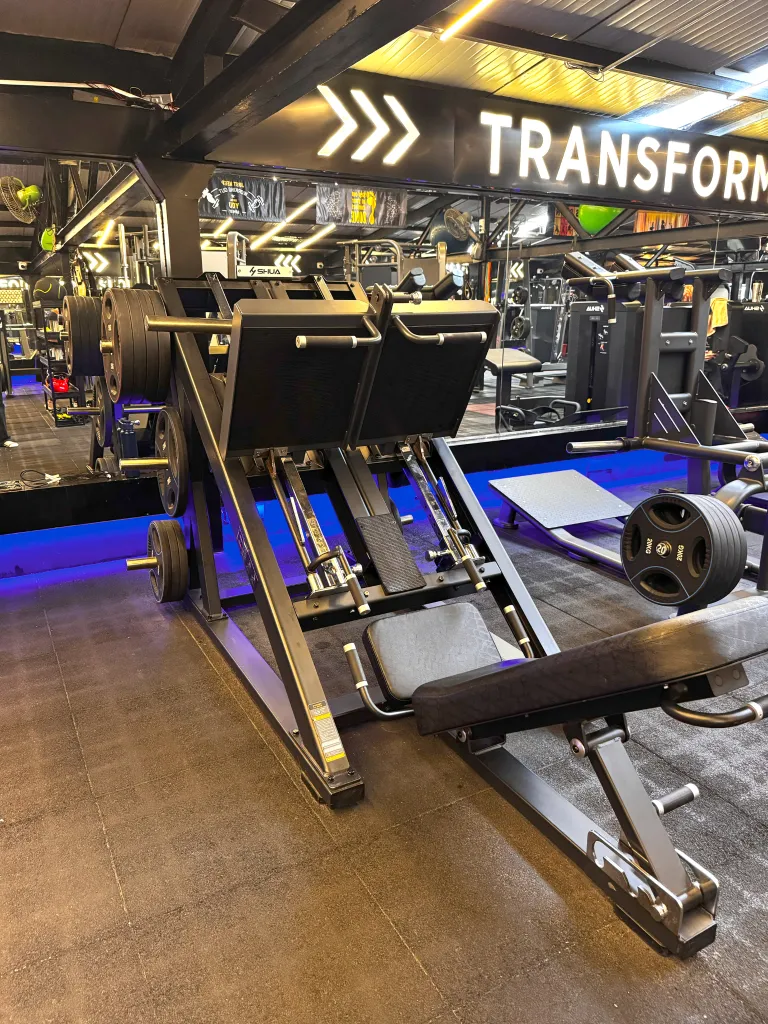 Unilateral Leg Press